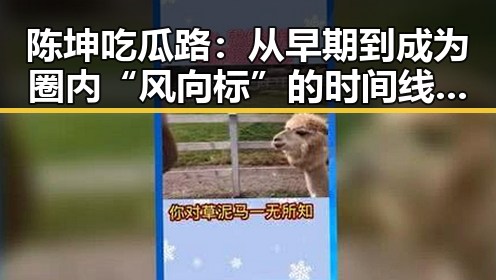 陈坤吃瓜路：从早期到成为圈内“风向标”的时间线回顾