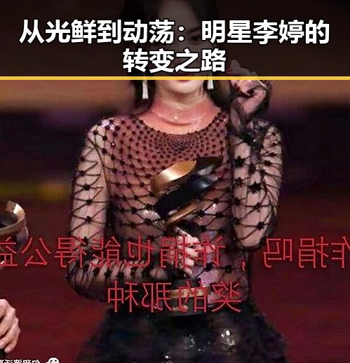从光鲜到动荡:明星李婷的转变之路