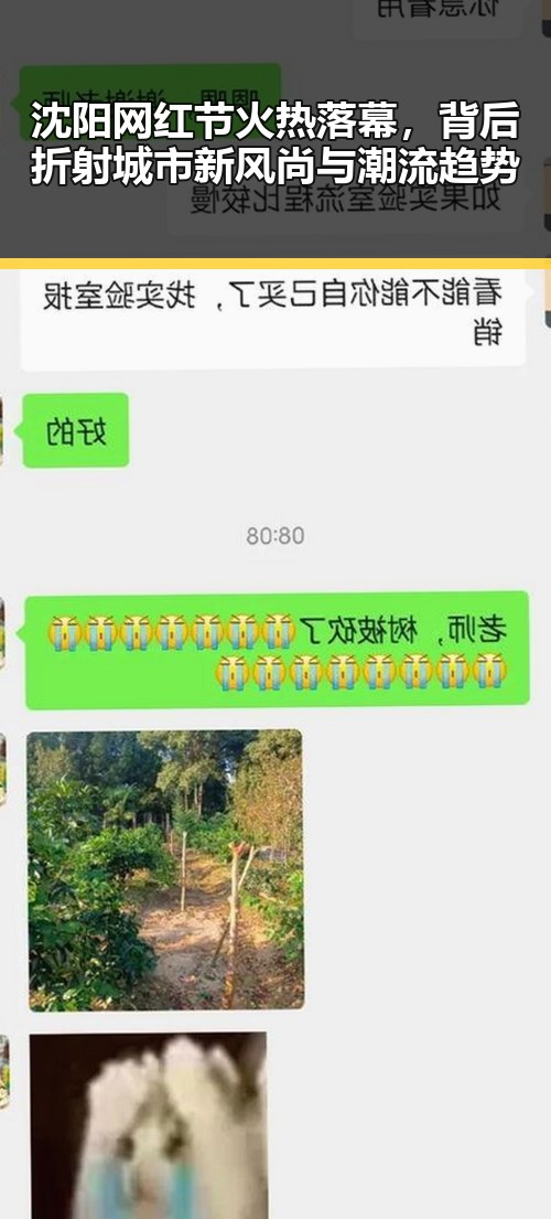 沈阳网红节火热落幕,背后折射城市新风尚与潮流趋势