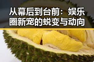 从幕后到台前:娱乐圈新宠的蜕变与动向